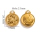 Gold-Steinbock Bild15